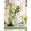 Polaris Glass Table Vase-2121760549