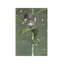 The Climbdown - Wrapped Canvas Painting-357098996