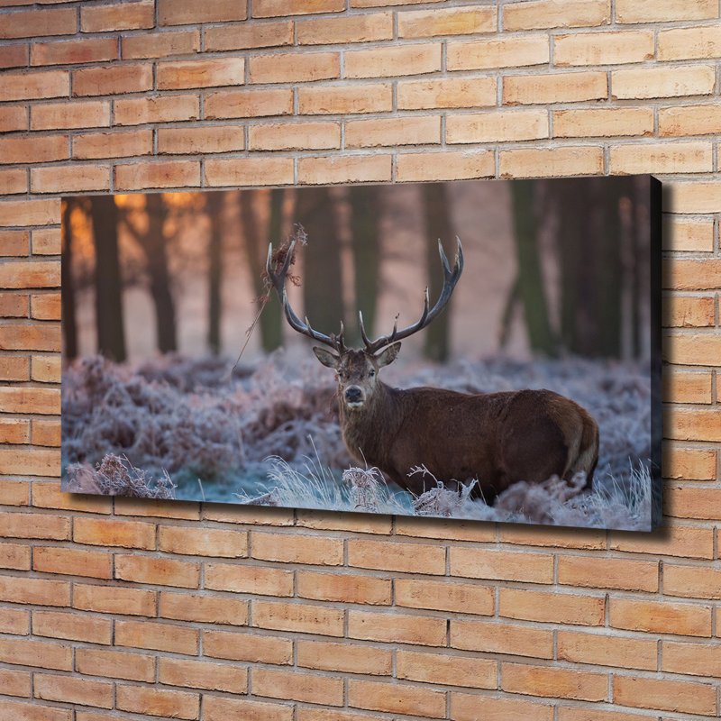 Deer At Sunrise - Wrapped Canvas Print
