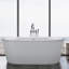 Noella 65" Freestanding Air Bathtub-1617997641