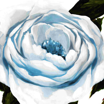 Pivoine bleue