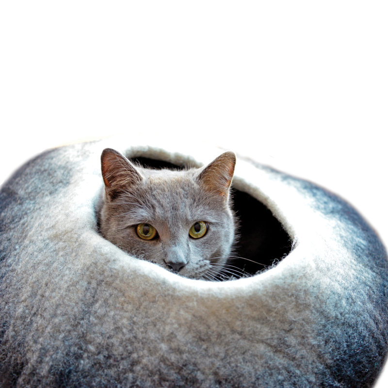 Dôme de créateur d’animaux, Noir / blanc