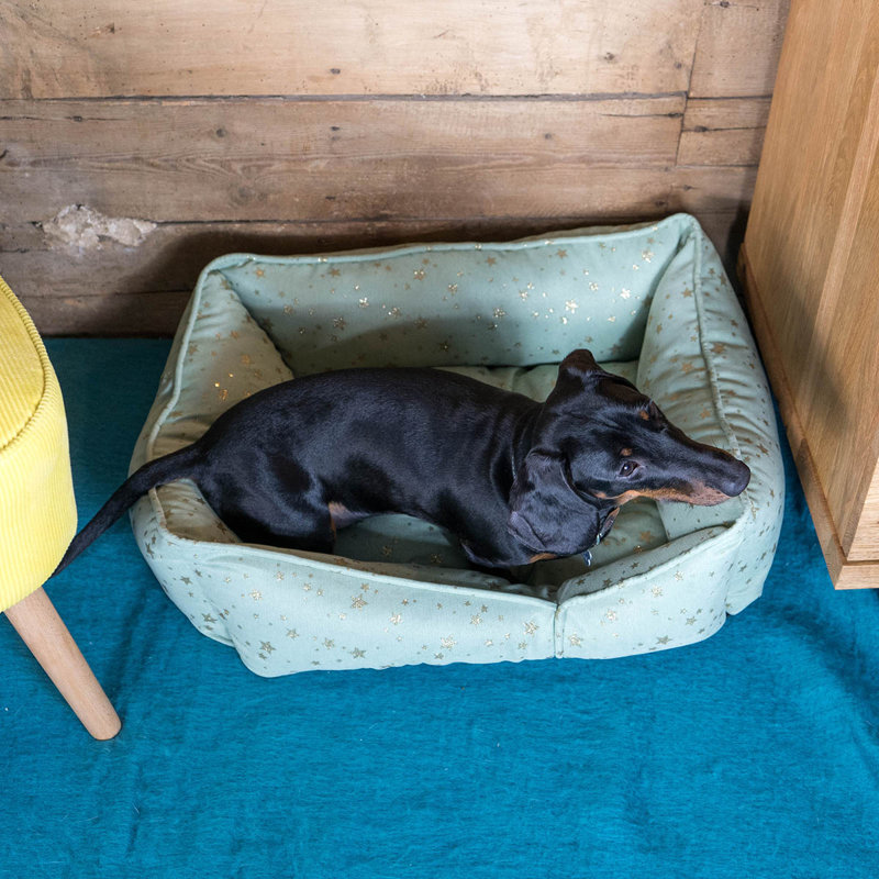 Norwood Polyester Pet Bed, 40cm H x 18cm W x 50cm D