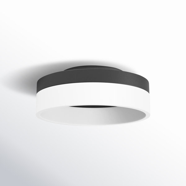 Danica Single Light Acrylic LED Flush Mount & Reviews | AllModern