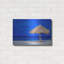 «Aruba Beach Umbrella» par Mark A Paulda-499433935