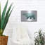 Luxe Nature Art «Nature Calling IV» par Grace Popp, «Nature Calling IV» par Grace Popp-101673628