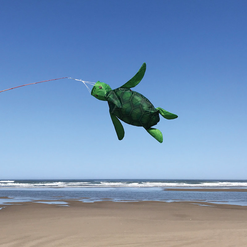 Manche de bébé 3D tortue de mer, H 34 po x l 38 po