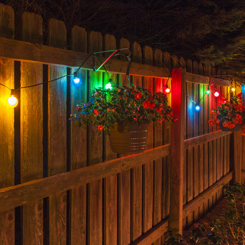 Outdoor 25 - Bulb 300'' Plug-in Globe String Light