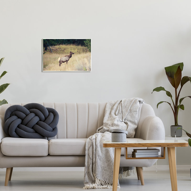 «Wild Elk Nature Grove», photographie sur toile flottante par Stede Bonnett, H 13 po x l 19 po x P 0,5 po, Bois