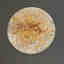 Photos des clients 1 de 1