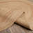 Charbonneau Indoor Rug-1237755184