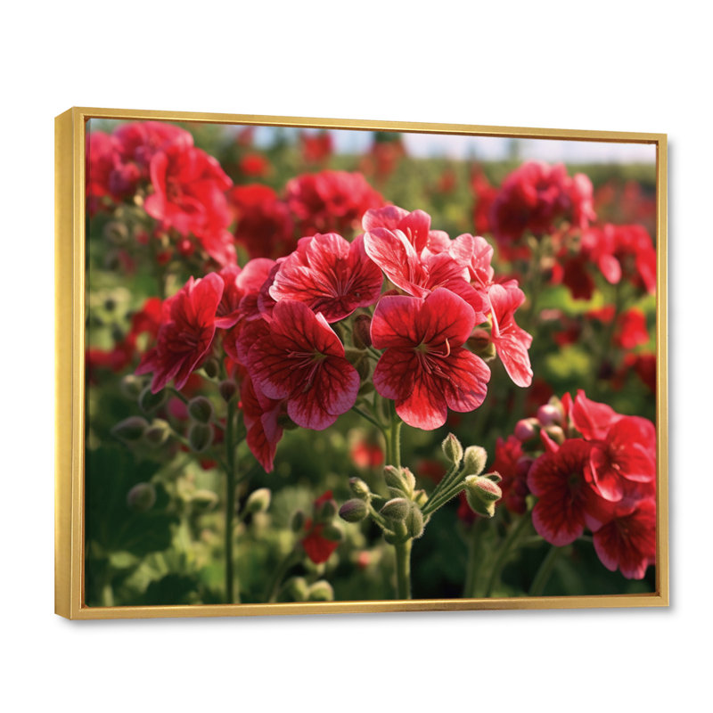Fleur rouge, vert, géraniums et euphonie I - impression, H 30 po x l 40 po x P 1,5 po, Cadre flottant doré
