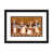 Blanc / aubergine / banane / brun clair / rouge br n'est pas disponible