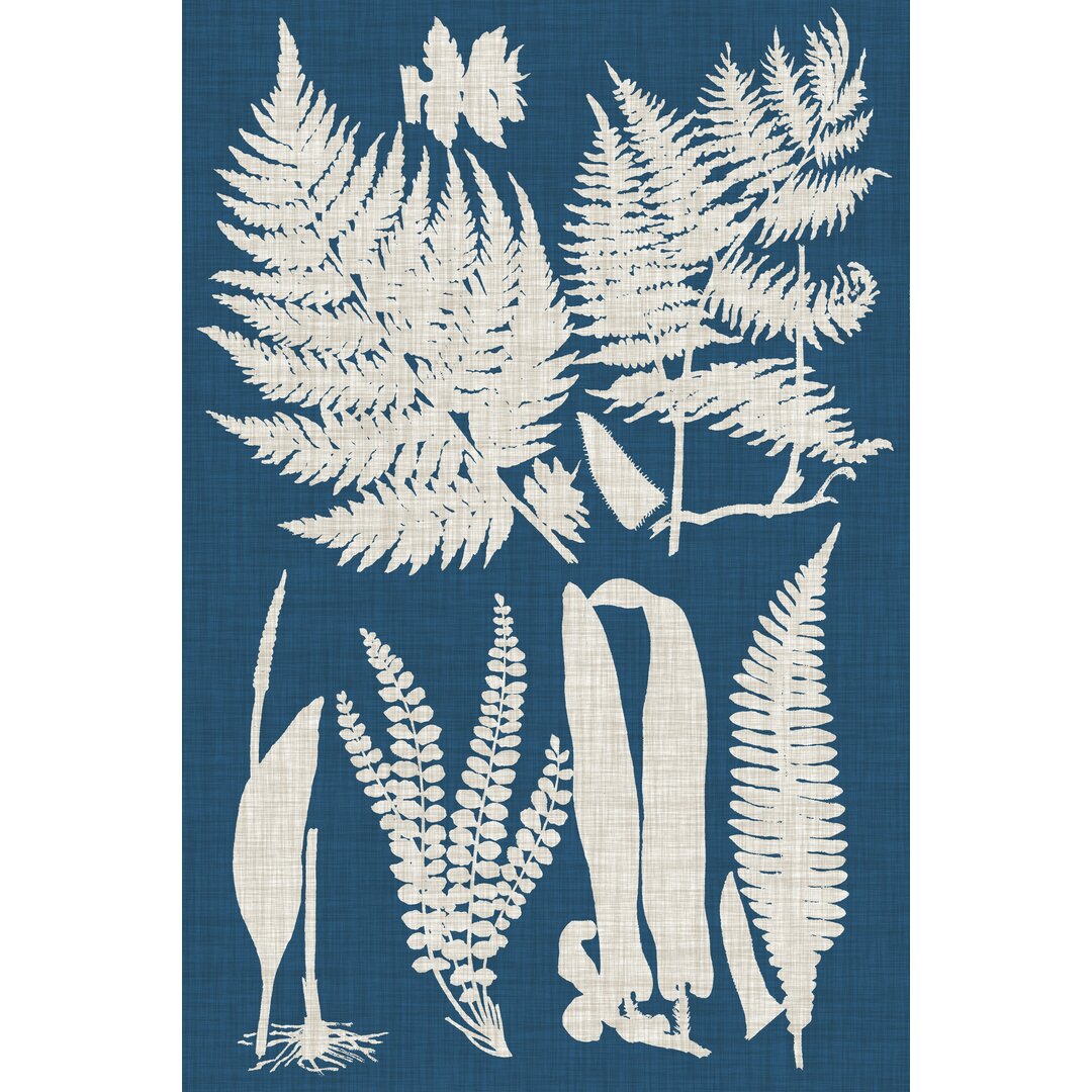 Leinwandbild Linen & Blue Ferns I von Vision Studio