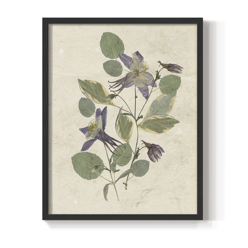 Pressed Arrangement IV, reproduction encadrée - bois massif, Noir, noir, noir, noir, H 30 po x l 24 po