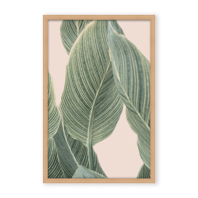 Coastal Retreat Calla Leaf by  - Picture Frame Graphic Art on Paper, 36" H x 24" W x 1.125" D, Framed Matted Print, Beige