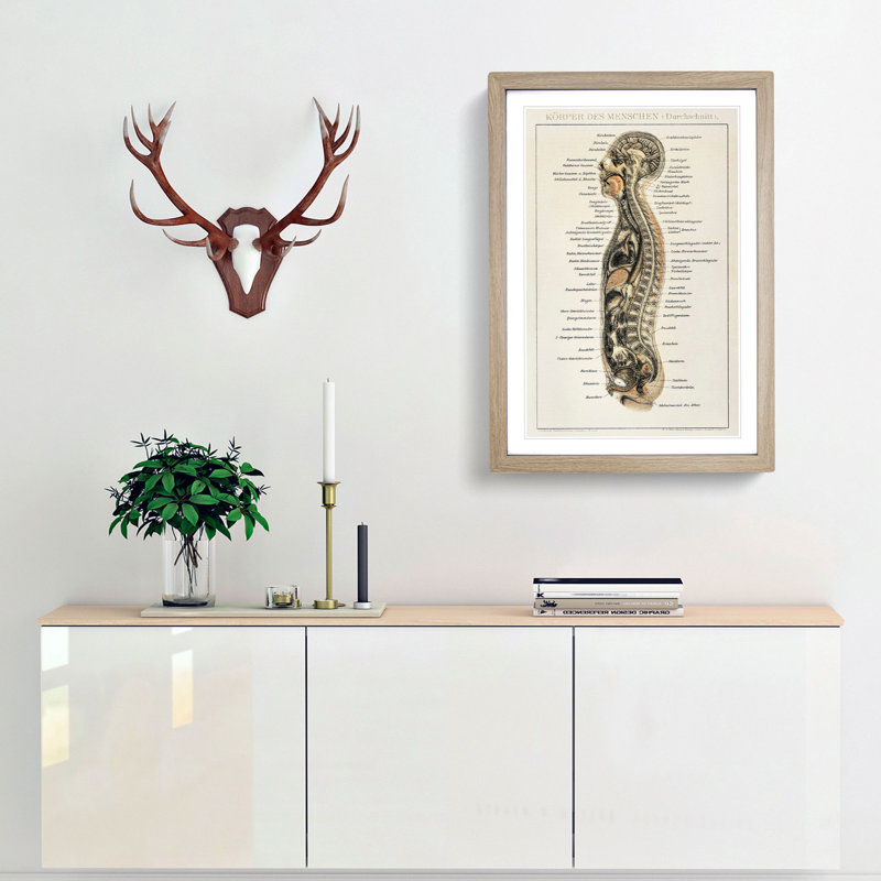 Anatomy Chart in German - Framed Print, 48cm H x 36cm W x 2cm D, Oak Framed