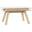 Reba Extendable Dining Table-25294159