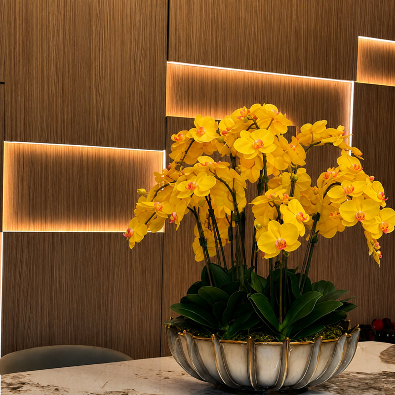 Iliad Artificial Orchid Arrangement, Yellow