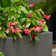 Gita Large Lightweight Outdoor 36" x 16" x 16" Trough Planter Box