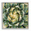 «Leafy Succulent Plant Nature» encadré sur bois par Lindsay Benson, peinture