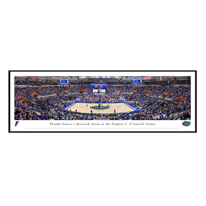 Bruner Florida Gators Basketball- Framed Print, 13.75" H x 40.75" W, Framed Print without Mat