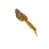Or est en rupture de stock