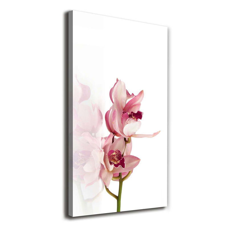 Pink Orchid - Wrapped Canvas Print