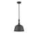 Hempstead 1 - Light Single Pendant