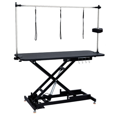 Table de toilettage hydraulique pour chien de l 48 po x P 24 po