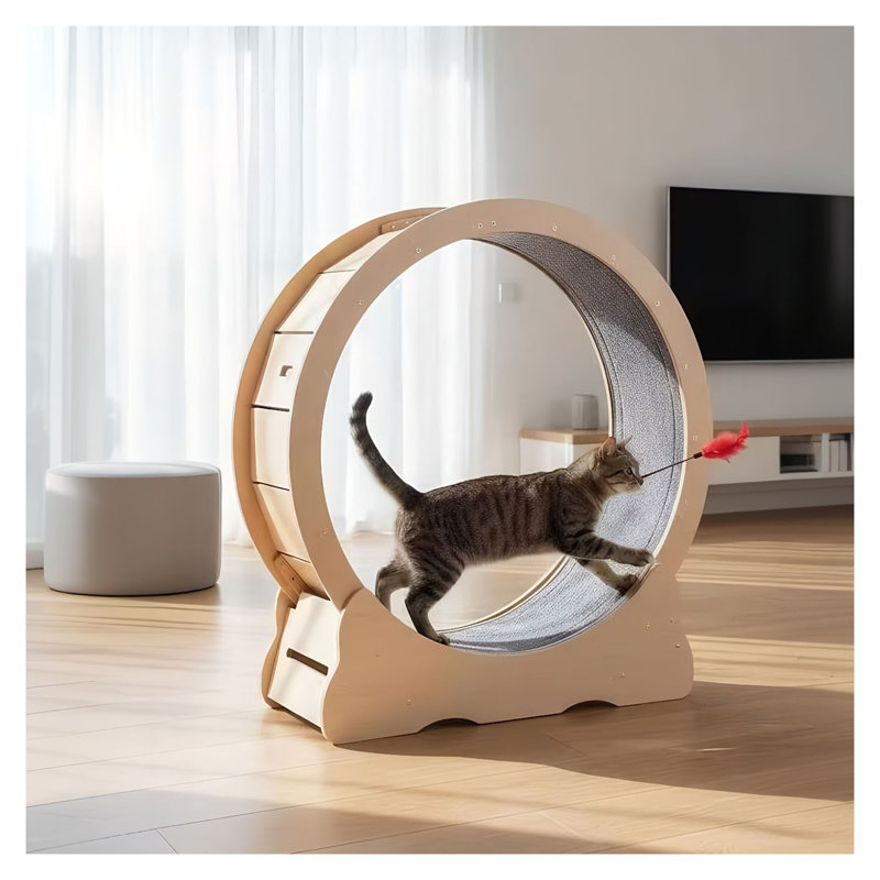 Grande roue d'exercice en bois naturel pour animaux domestiques