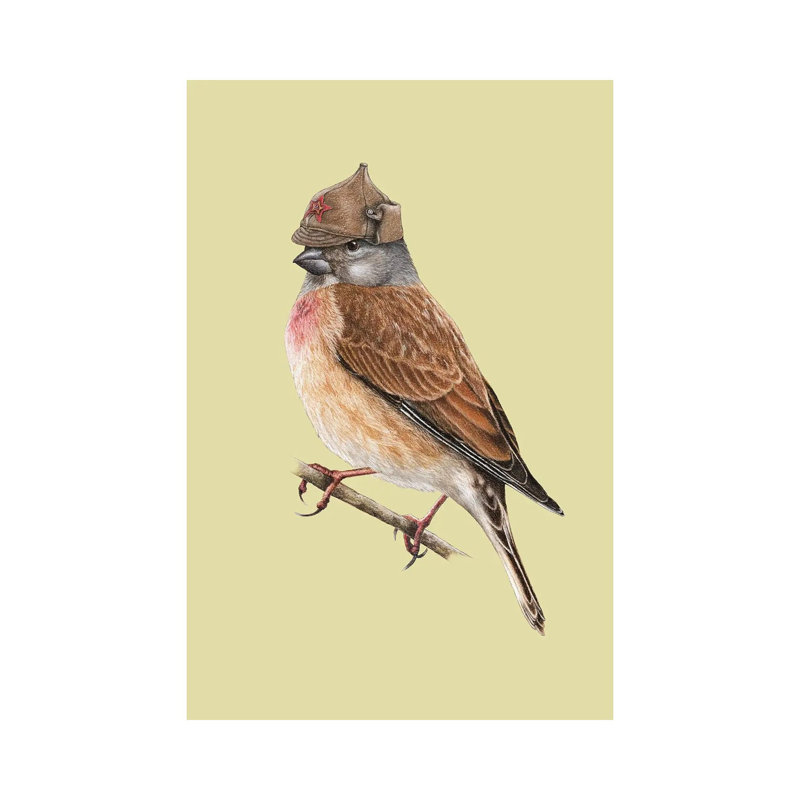 Common Linnet by Mikhail Vedernikov - Wrapped Canvas Gallery-Wrapped Canvas Giclée, 30.48cm H x 20.32cm W