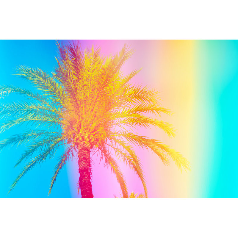 Feathery Palm Tree by Olindana - Wrapped Canvas Print, 30cm H x 46cm W