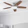 Carmel 48'' Ceiling Fan with LED Lights and Remote Included