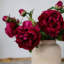 Peony Faux Floral-1036916918-1036916916