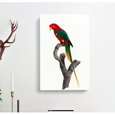 Papuan Lorikeet by F. Levaillant - Wrapped Canvas