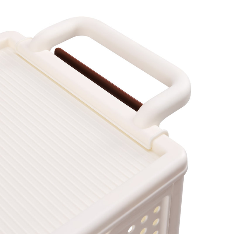 Rebrilliant Plastic Decorative Bin