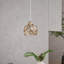 1 - Light Natural Dome Pendant
