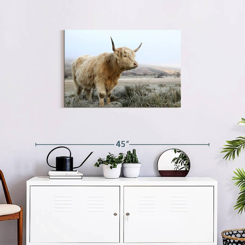 Brampt Wild White Highland Cow, 20" H x 30" W