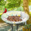 Bain d'oiseaux en verre Tannehill