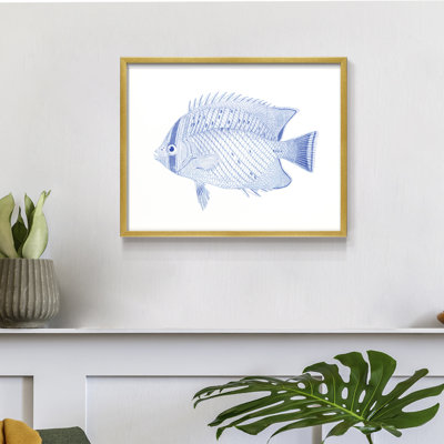 Poisson tropical bleu et blanc III - reproduction encadrée
