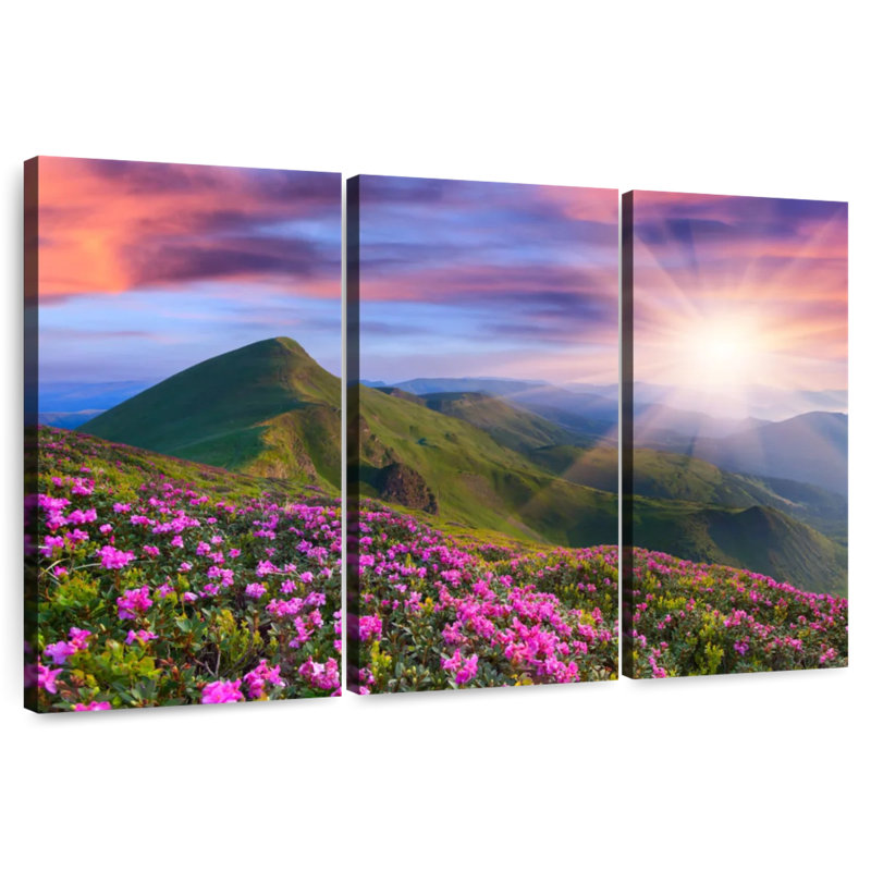 Rhododendrons d'Alvord en été, H 42 po x l 65 po