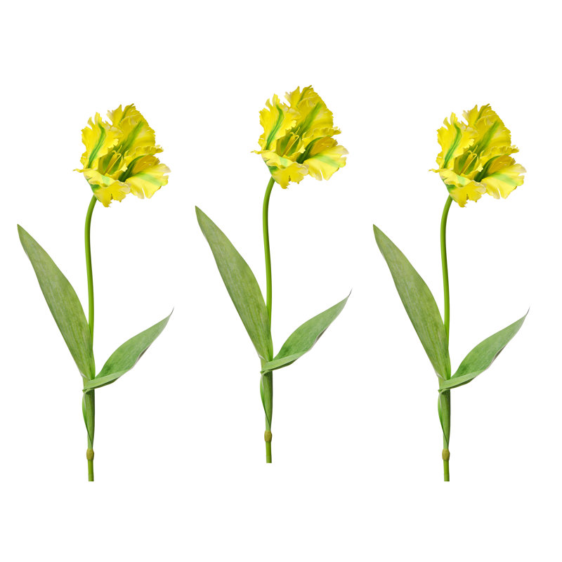 Perroquet doux au toucher 28 po , Jaune