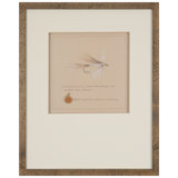 Catskill Light Cahill Fly Print