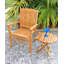 Greg Outdoor Teak Dining Armchair