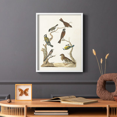 Antique Birds in Nature II Framed Print - Solid Wood