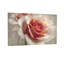 Plantes et fleurs, pêche douce sur fond rose-183263485