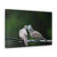 Wall Art on Canvas-222838673