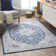 Swaney Oriental Indoor Rug