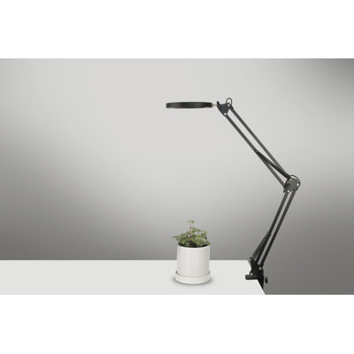 Adley Metal Clip On Lamp